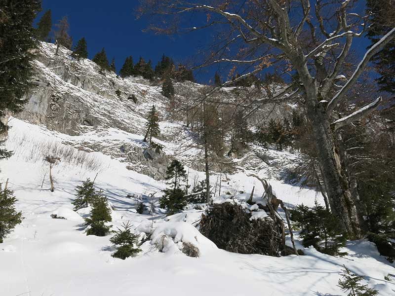 Buchbergkogel